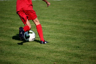 开云官网入口地址-篮球运动员心理健康维护服务体系研究，篮球心理技能训练计划